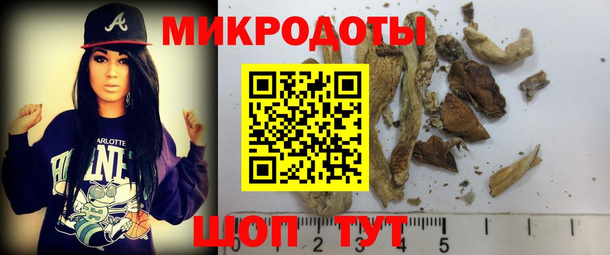 Псилоцибиновые грибы GOLDEN TEACHER Керчь